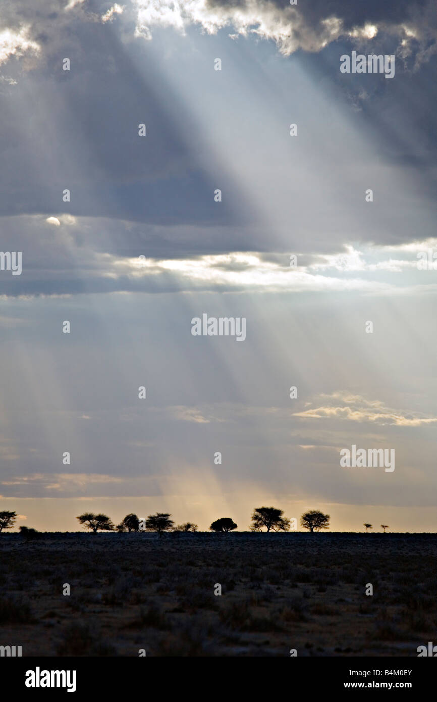 Einen malerischen Blick auf einen fernen Regen im Etosha Nationalpark Namibias Stockfoto