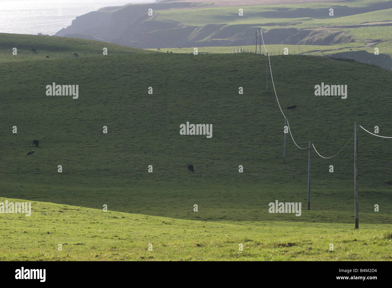 Sidelit Netzkabel Weideland im Schatten am Mull of Galloway, Dumfries & Galloway überqueren. Stockfoto
