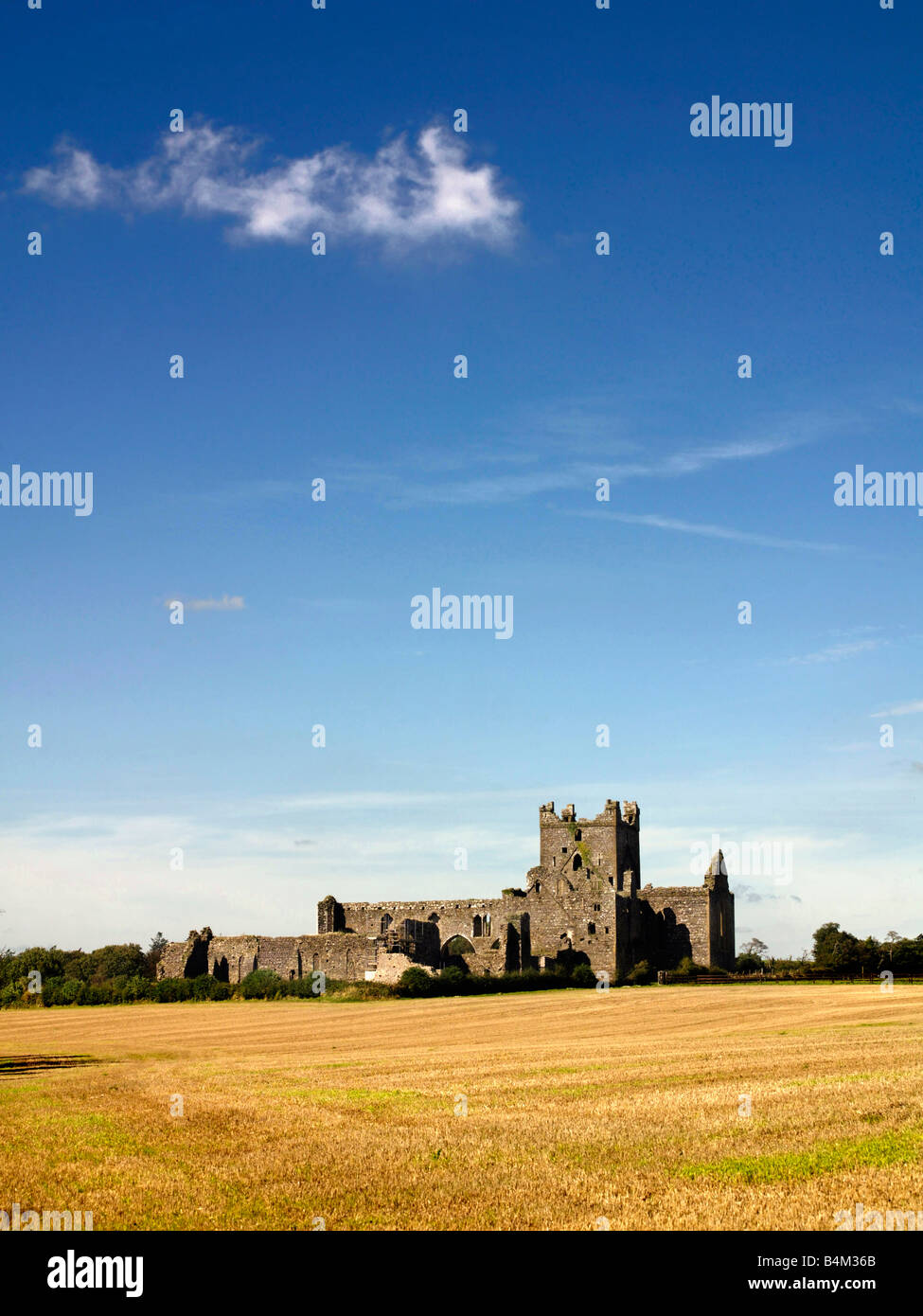 Dunbrody Abbey Co.Wexford Irland Stockfoto