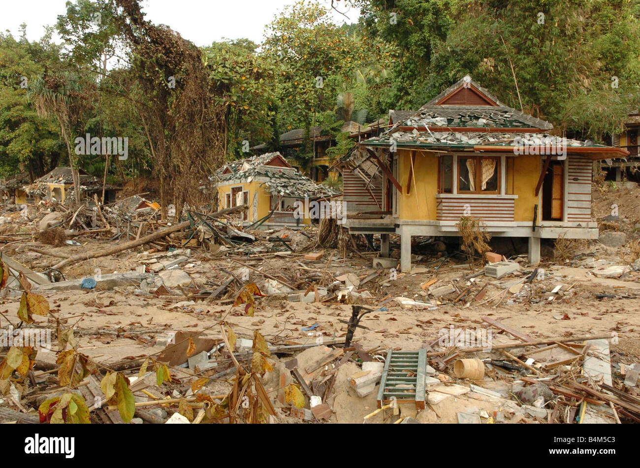 Tsunami natural disaster thailand january Fotos und Bildmaterial in
