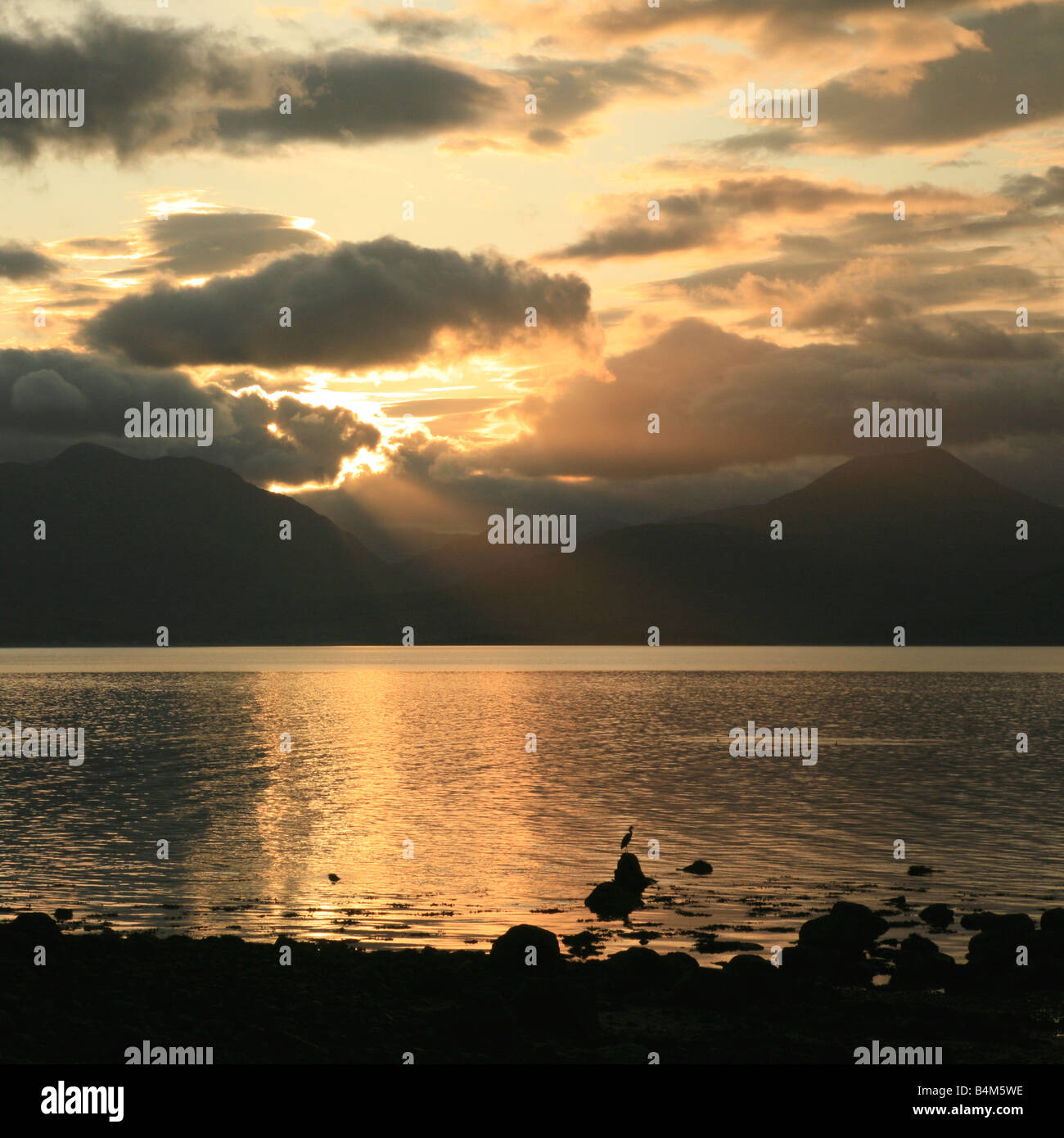 Heron bei Sonnenaufgang am Loch Linnhe, Kilmalieu, Morven, Lochaber, Highlands, Schottland, Vereinigtes Königreich Stockfoto