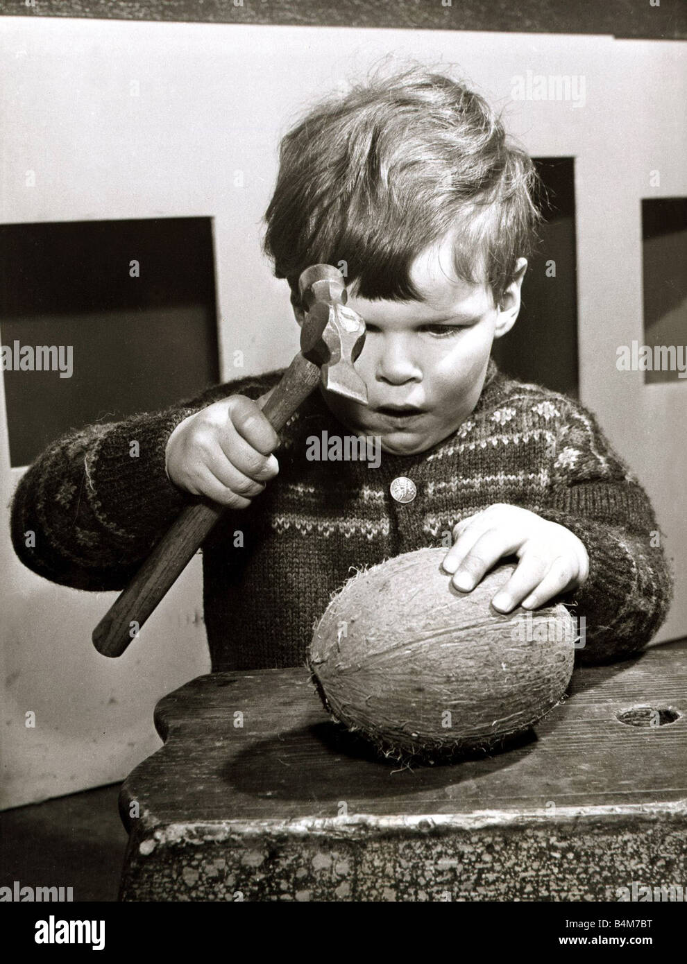 Ein kleiner Junge versucht zu knacken öffnen eine Kokosnuss mit einem Hammer  März 1965 Stockfotografie - Alamy