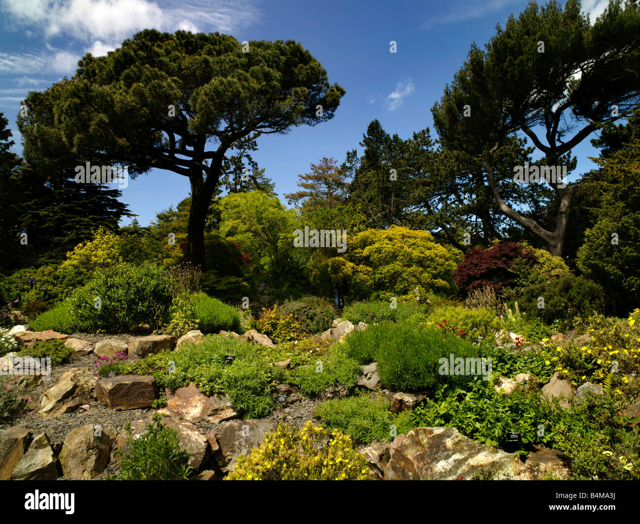 Botanische Gärten Dublin Stadt Stockfoto