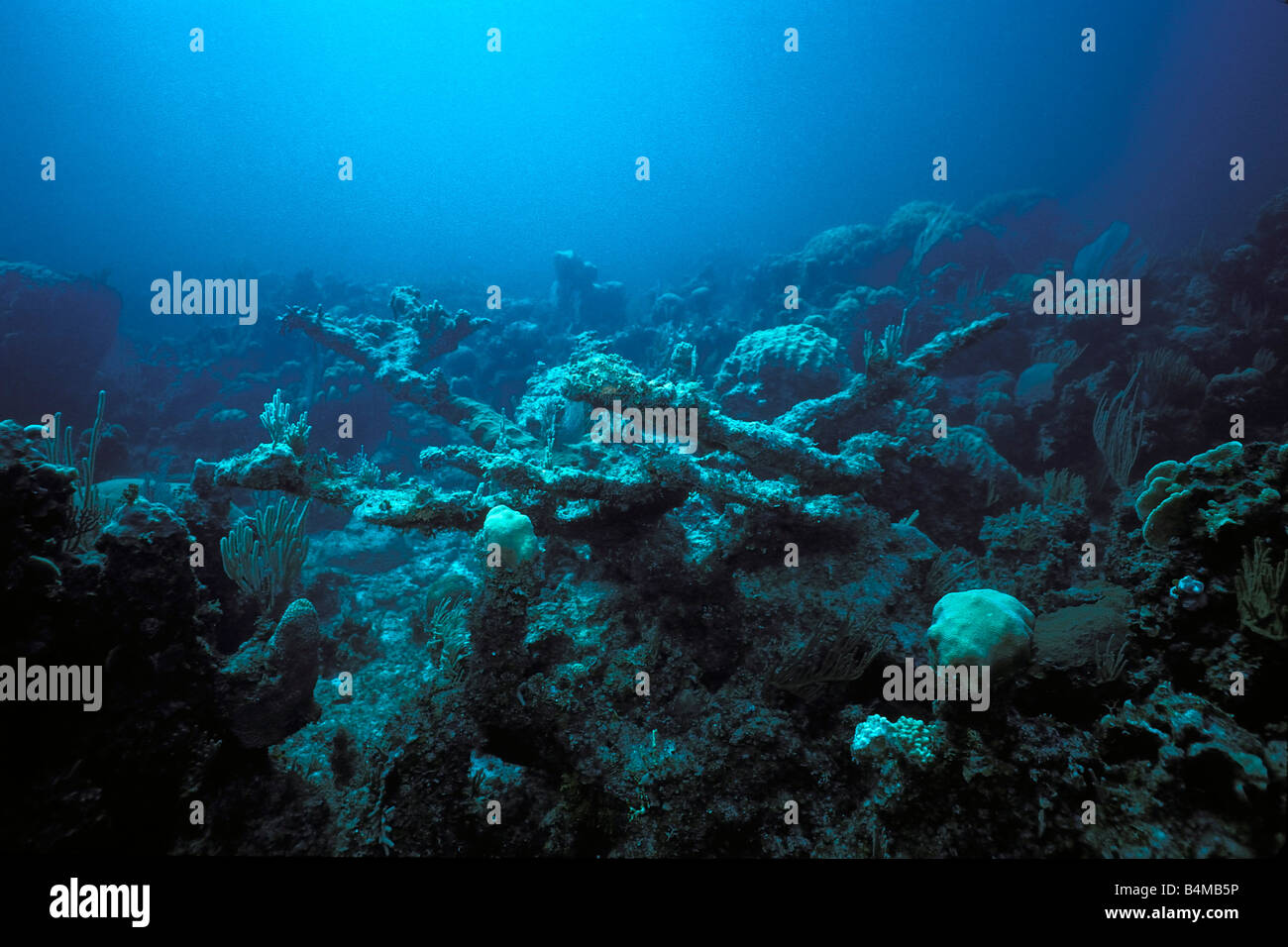 Klimawandel durch die globale Erwärmung beeinträchtigt die Gesundheit der Korallenriffe Pazifik Stockfoto