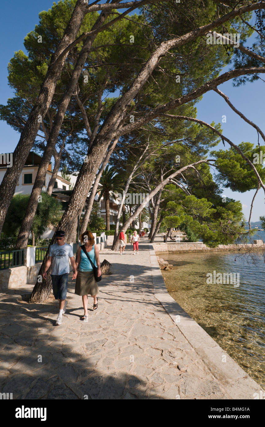 Touristen zu Fuß entlang der Pine Walk am Hafen von Pollensa, Mallorca, Spanien Stockfoto