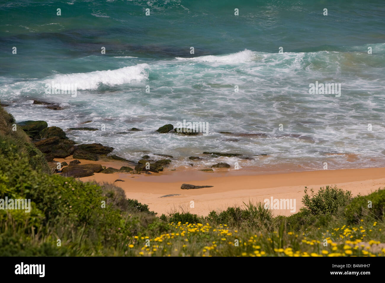 Turimetta Beach North Narrabeen auf Nordstrände von Sydney, Australien Stockfoto