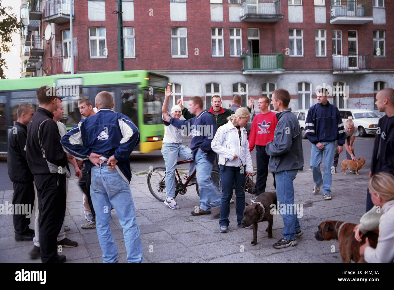 Jugendliche mit Kampfhunde, Poznan, Polen Stockfoto