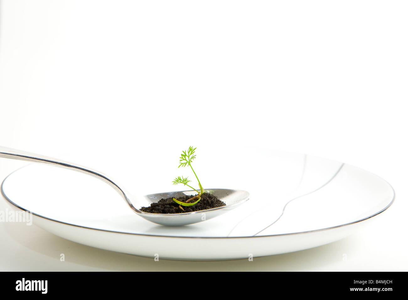 Bio-Lebensmittel Stockfoto