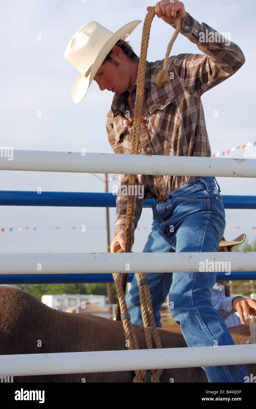 Rodeo Cowboy einen Stier reiten wird vorbereitet Stockfoto