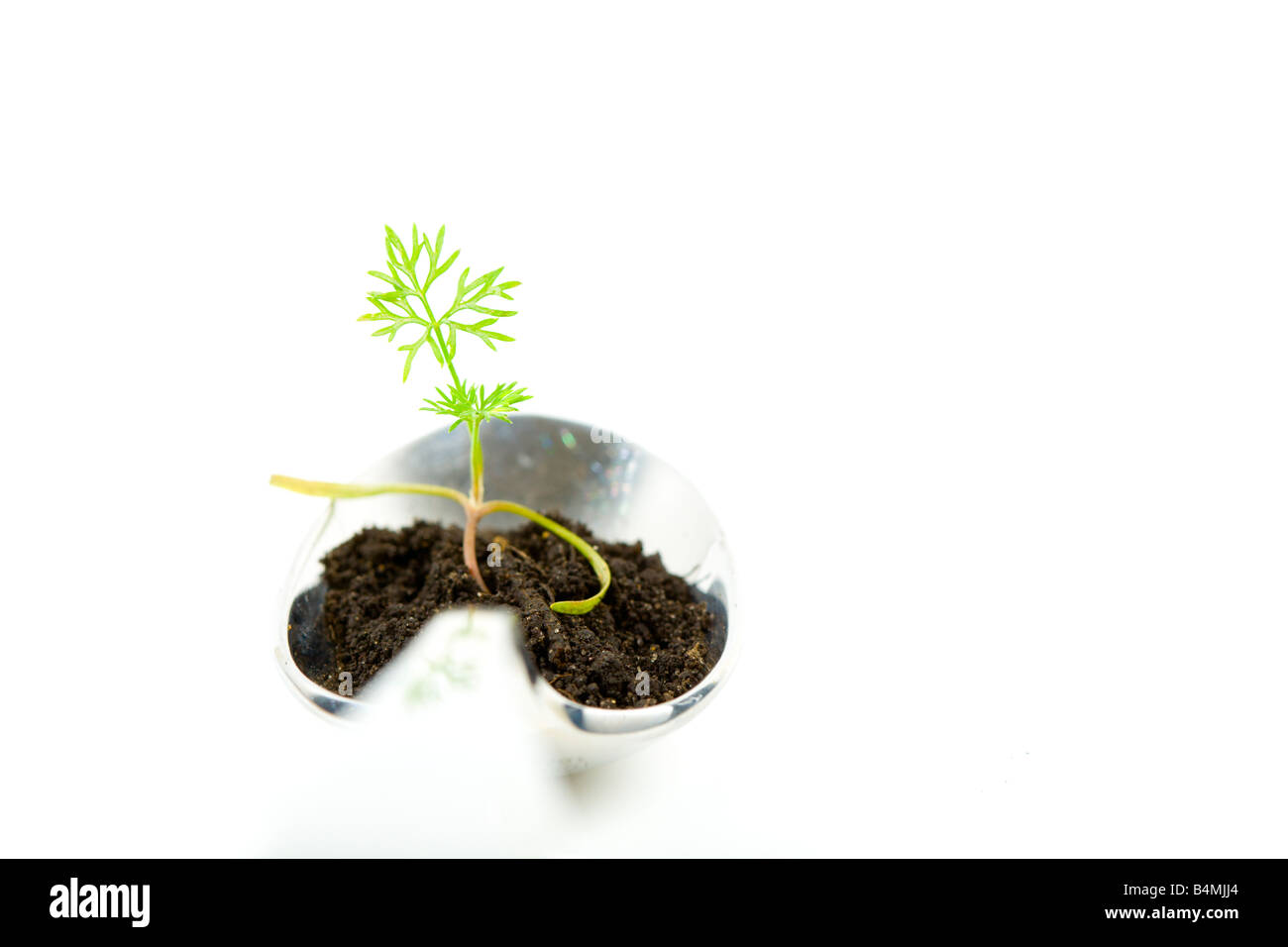 Bio-Lebensmittel Stockfoto