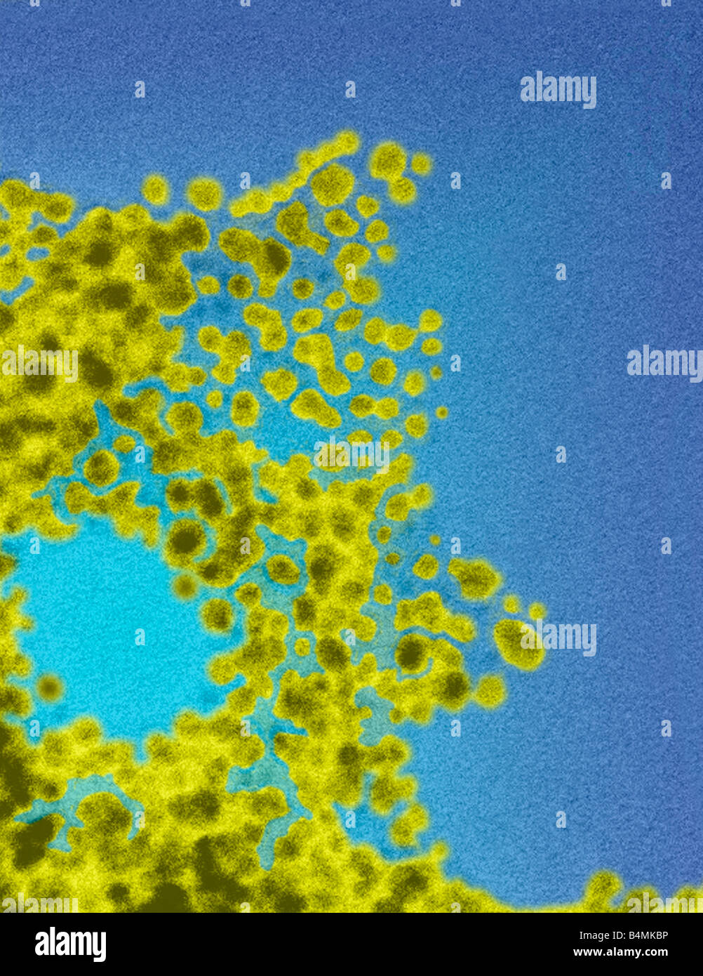 Konzeptbild Nanopartikel in der Lage, gezielt bestimmte Zelltypen und intrazellulären Fächer für den Einsatz bei der Medikamentenabgabe Stockfoto