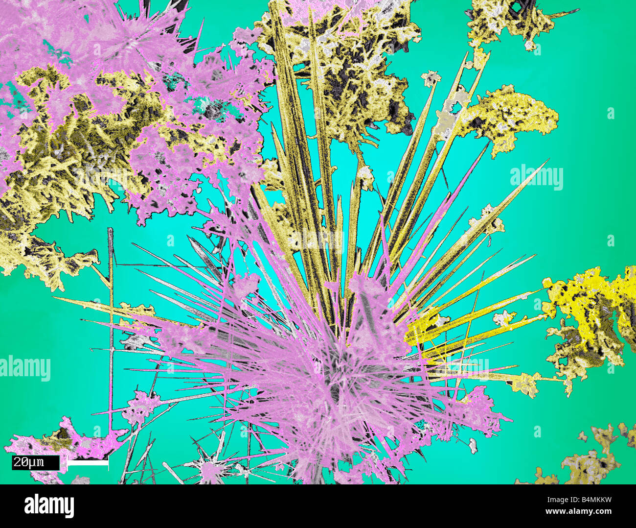 EMS Falschfarbenbild von Kohlenstoff-Nanoröhren, die Krebs-Medikamente direkt an den Ort der Erkrankung während der Chemotherapiebehandlung liefern Stockfoto