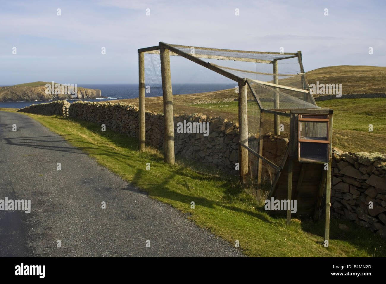 Eine Falle, forderte eine Helgoland-Falle Klingeln Zugvögel an der Vogelwarte auf Fair Isle, Shetland, UK Stockfoto