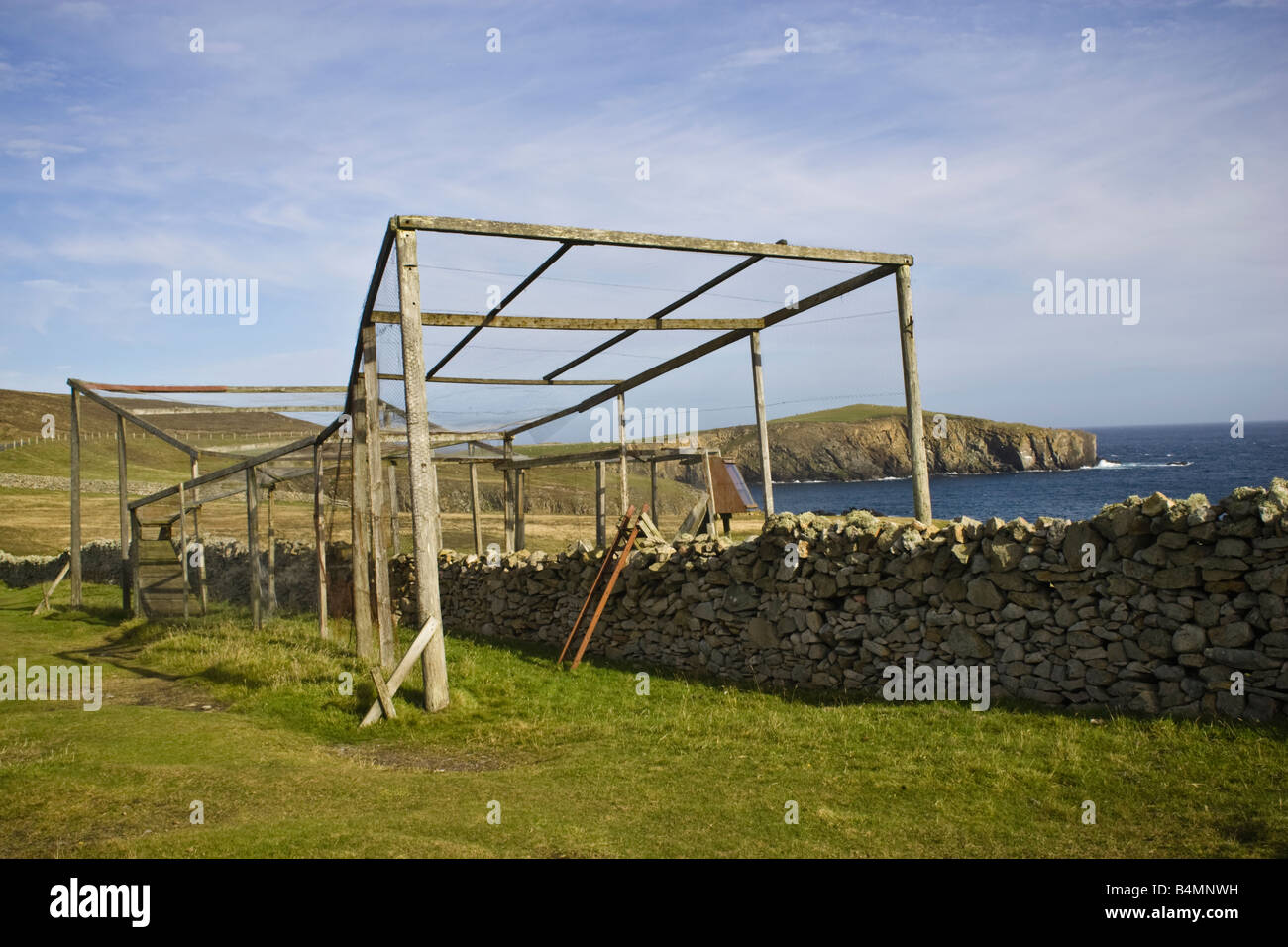 Eine Falle, forderte eine Helgoland-Falle Klingeln Zugvögel an der Vogelwarte auf Fair Isle, Shetland, UK Stockfoto
