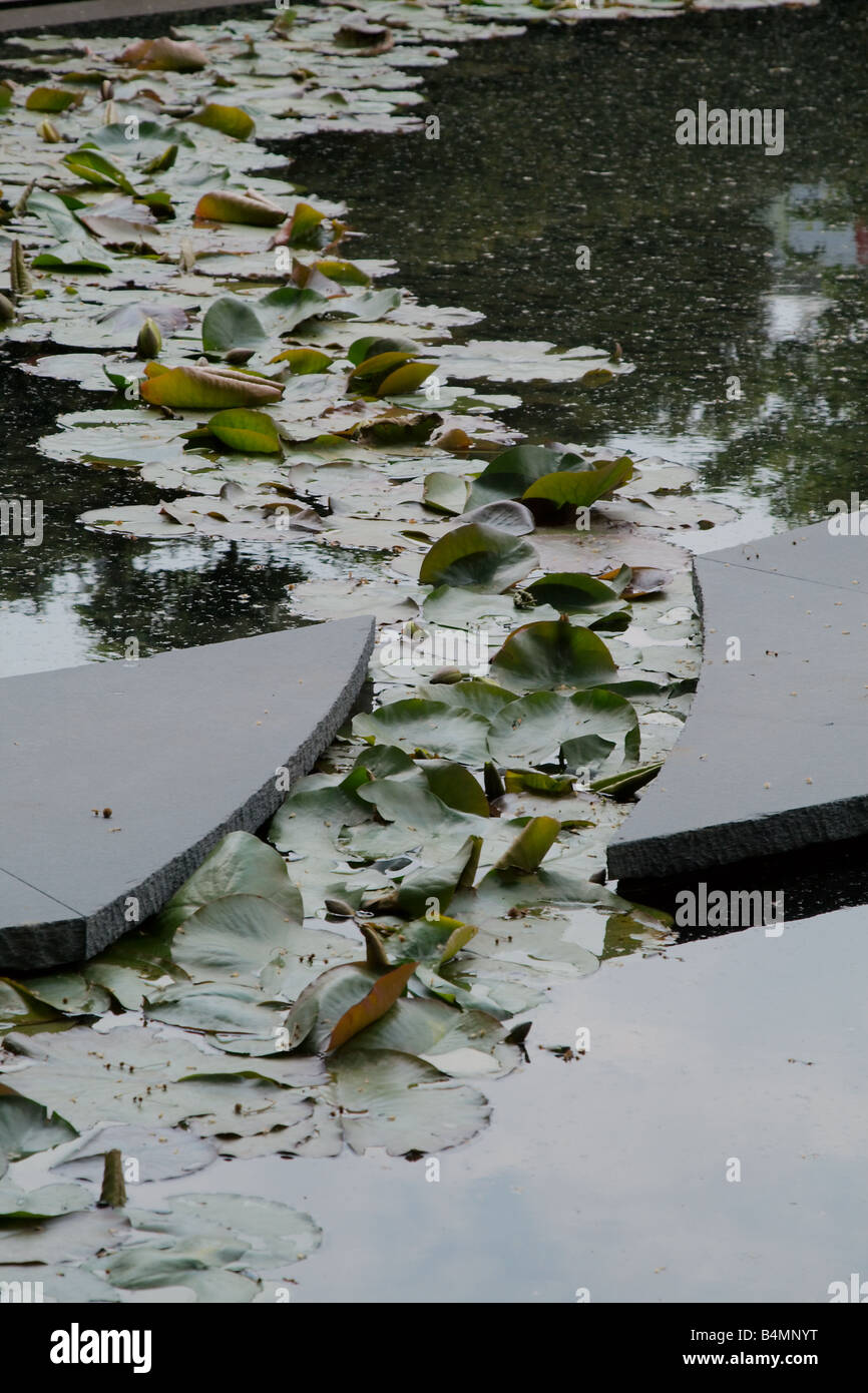 Daily Telegraph Garten; RHS Chelsea Flower Show 2008 Stockfoto