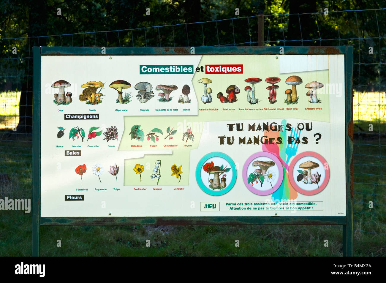 Hinweisschild erkennen Unterschiede zwischen sicheren und giftige Pilze, Beeren und Blumen, La Haute-Touche Zoo, Frankreich. Stockfoto