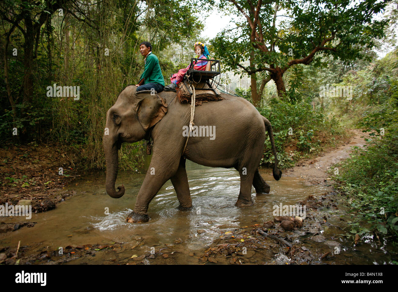 Ein Elefant trägt zwei Longneck Gruppenmitglieder kreuzt einen Stream ca. 300 birmanischen Flüchtlinge in Thailand Mitglieder der indigenen Gruppe bekannt sind als die Longnecks, die größte der drei Dörfer wo live Longnecks Nai Soi genannt befindet sich in der Nähe von Mae Hong Son Stadt longnecks, tragen Metallringe auf den Hals, die das Schlüsselbein nach unten drücken und verlängern dem Hals, sie sind, ein Tourist Anziehung Touristen besuchen Nai Soi zu fotografieren die Longnecks und kaufen ihre Handwerk die Dörfer sind als menschliche Zoos von Menschenrechtsorganisationen kritisiert. Stockfoto