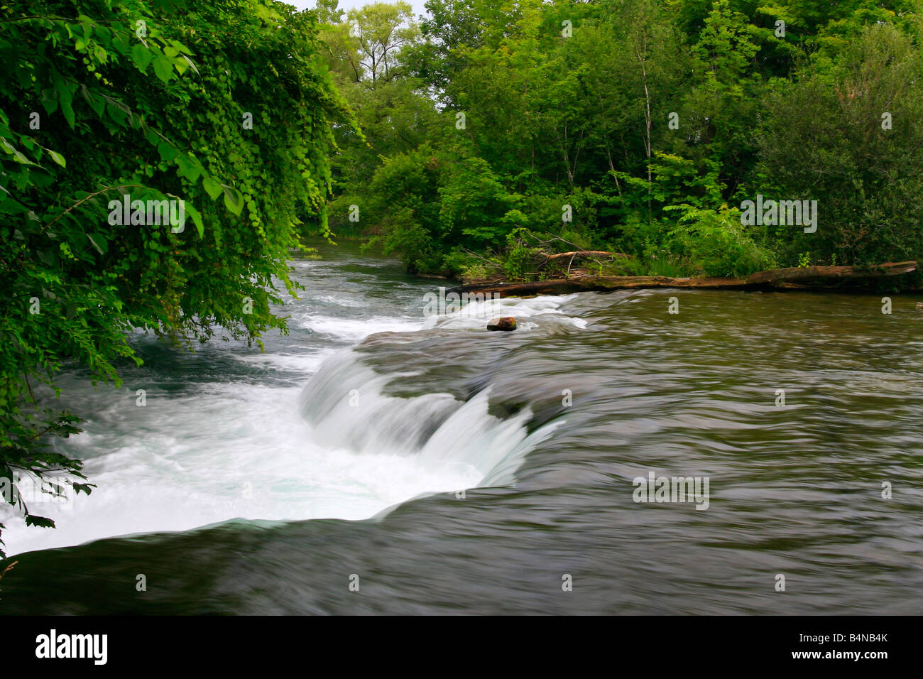 Fluss Stromschnellen kleine Wasserfälle USA Landschaft Wasserbäume niemand von oben oben Blick aus der Nähe schöne wilde Natur horizontale Hi-res Stockfoto