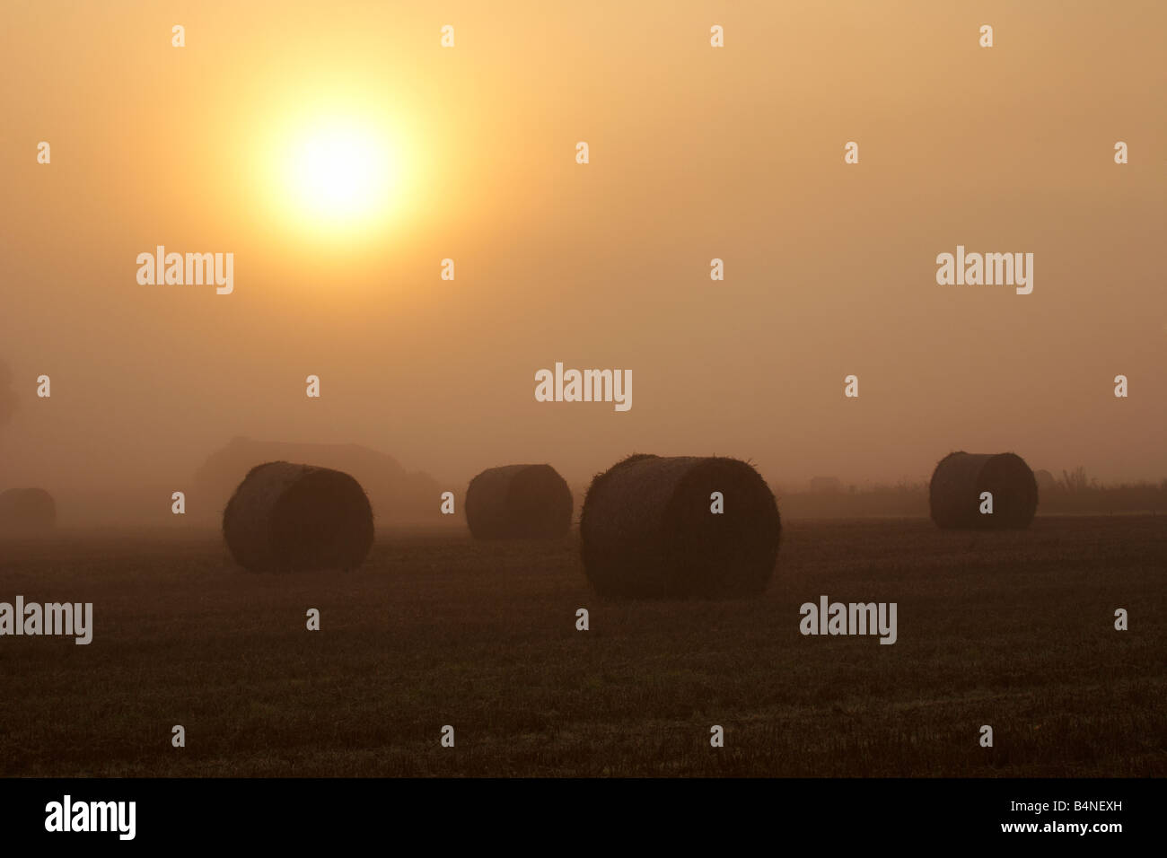 Heuballen im Nebel in der Norfolk-Landschaft in der Dämmerung Stockfoto