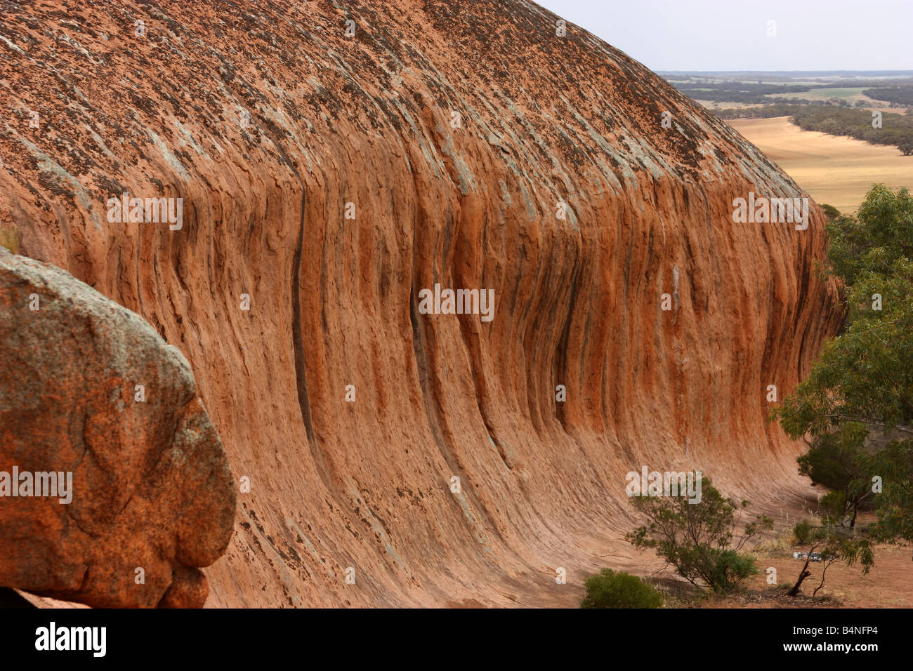 Pildappa Fels am Minnipa auf der Eyre-Halbinsel Stockfoto