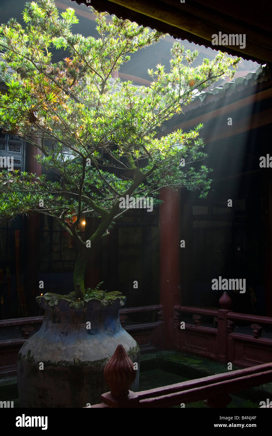 Lichtstrahlen passieren in ein Gebäude in der Geisterstadt Fengdu, China Stockfoto