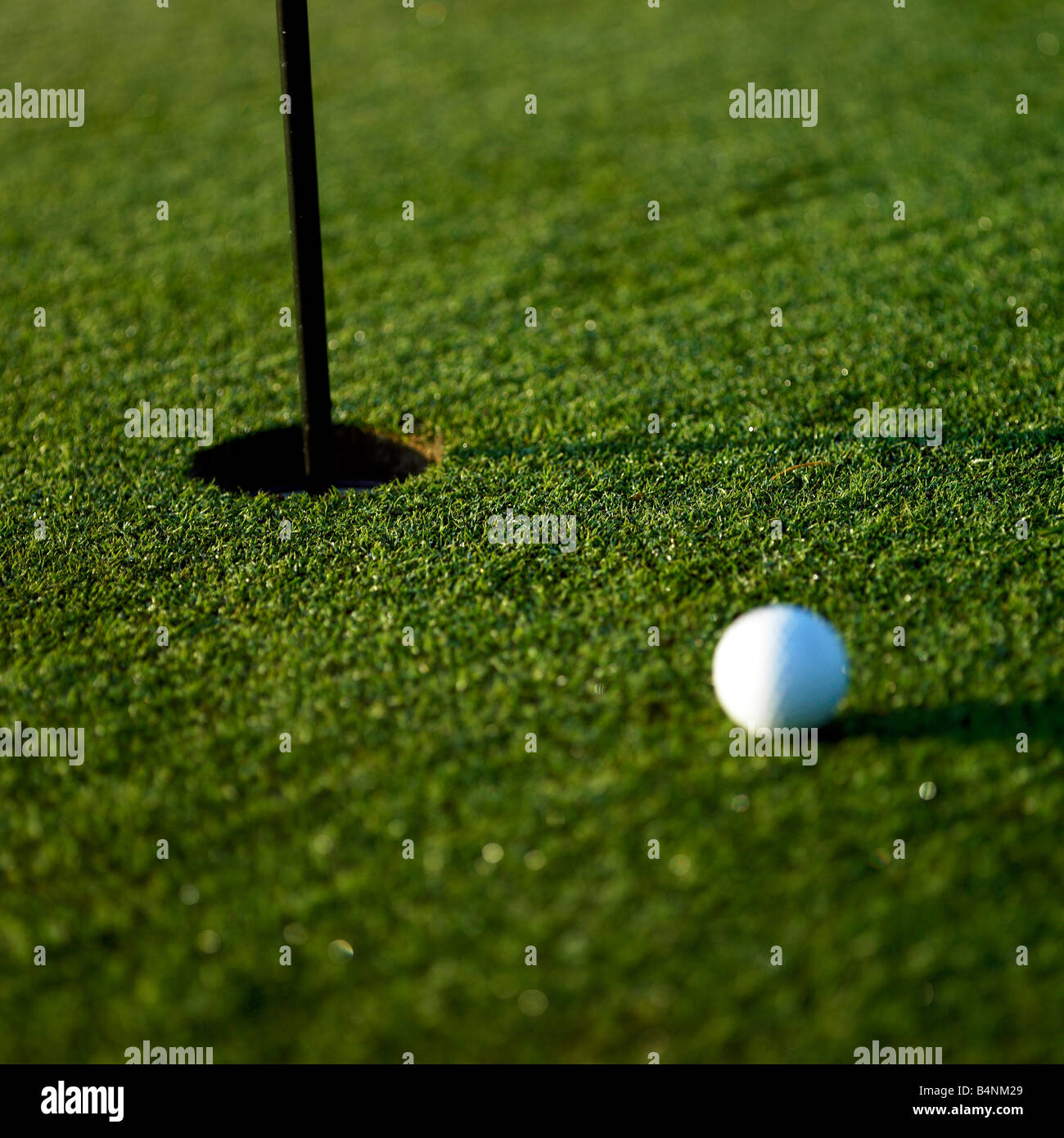 Frisch geschnittene Putting-green Stockfoto