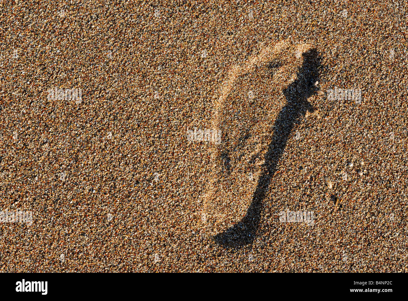 Ein Fußabdruck im sandigen Strand Stockfoto