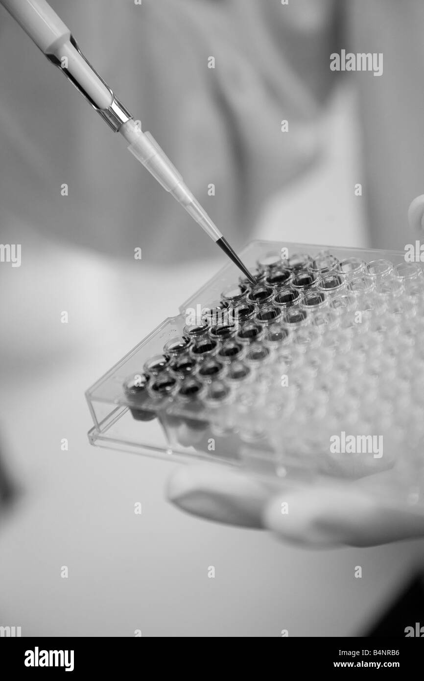 Eine Laborantin Forschung experimentiert mit einer pipette Stockfoto