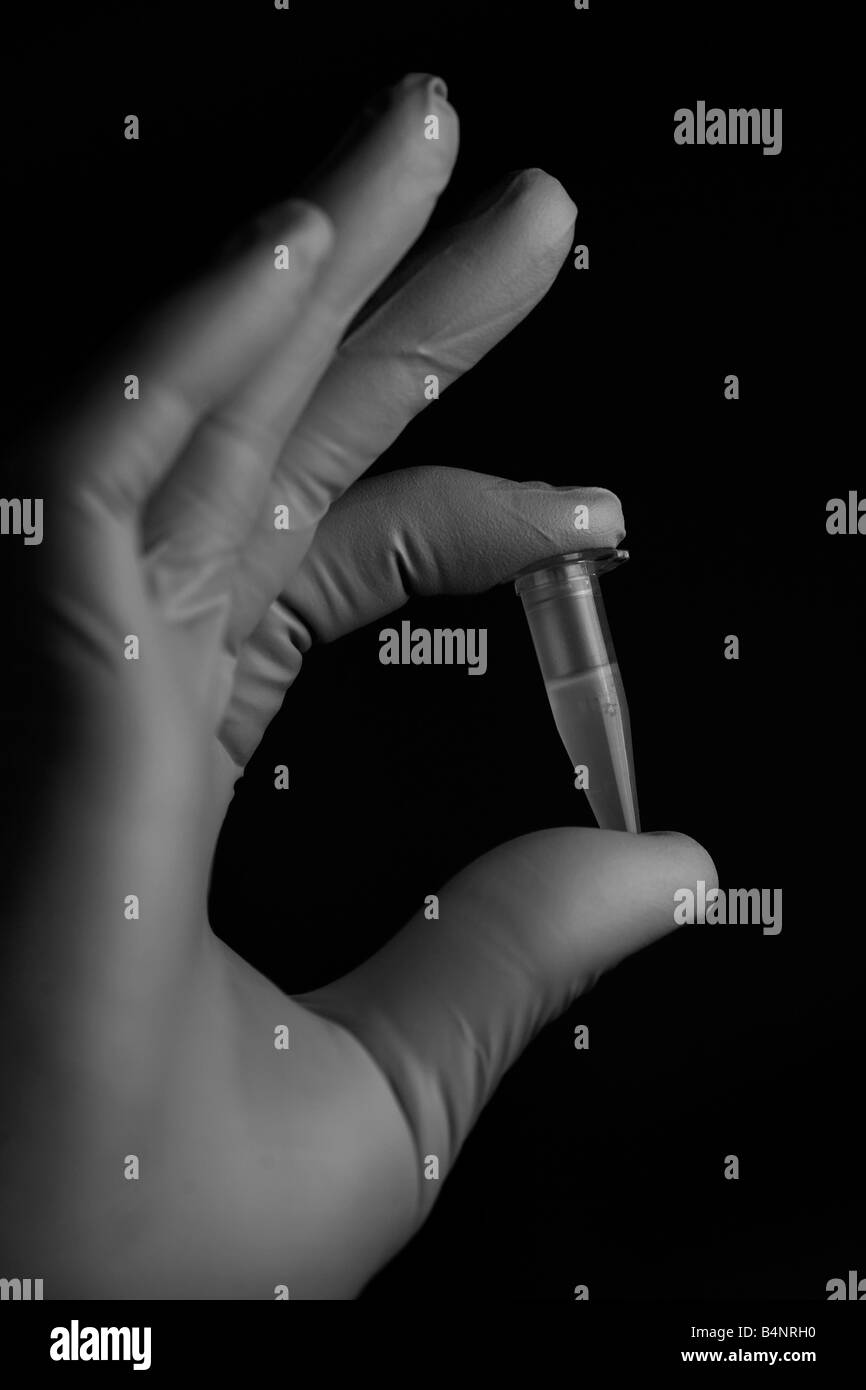 Eine Laborantin hält einen Probe-Schlauch Stockfoto