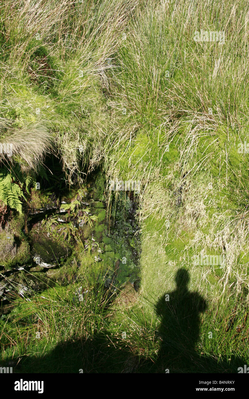 Schatten eines Mannes, der im Feld in Landschaft Stockfoto