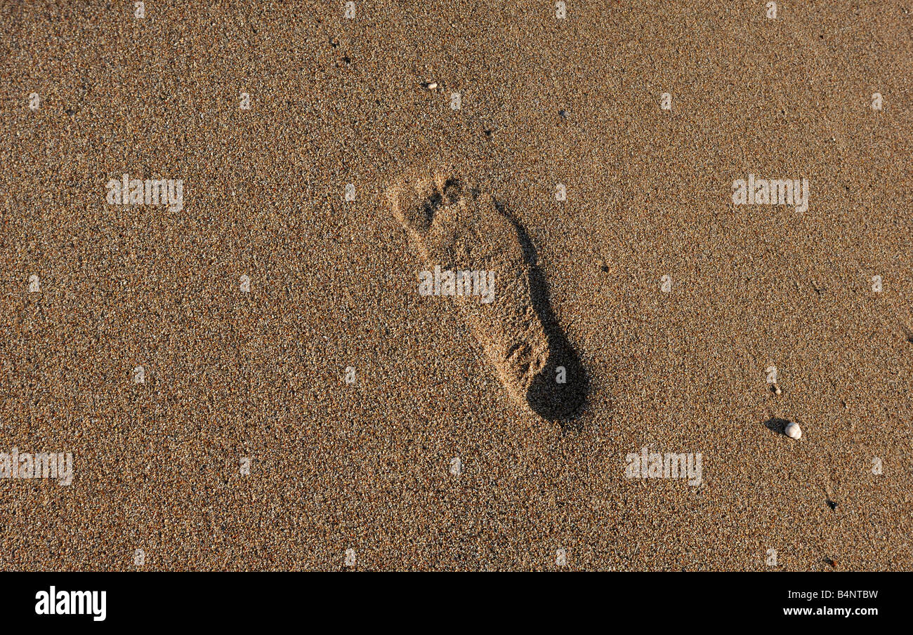 Ein Fußabdruck im sandigen Strand Stockfoto