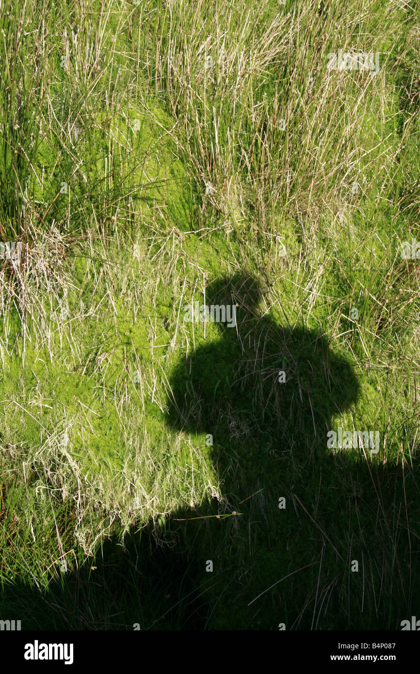 Schatten eines Mannes, der im Feld in Landschaft Stockfoto