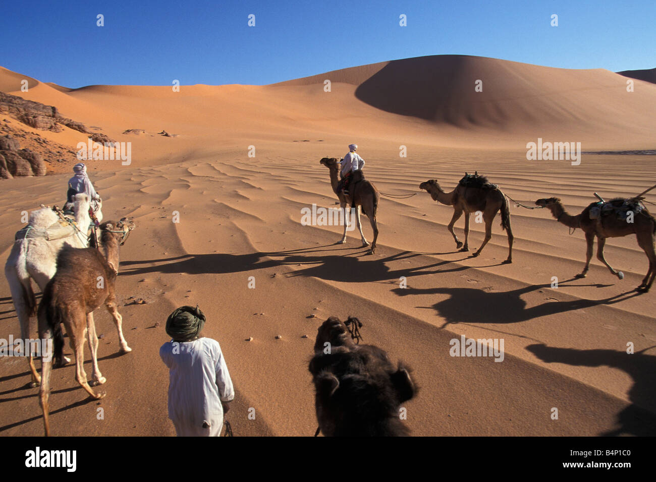 Algerien in der Nähe von Djanet Männer der Tuareg Stamm Kamel-Karawane Wüste Sahara Stockfoto