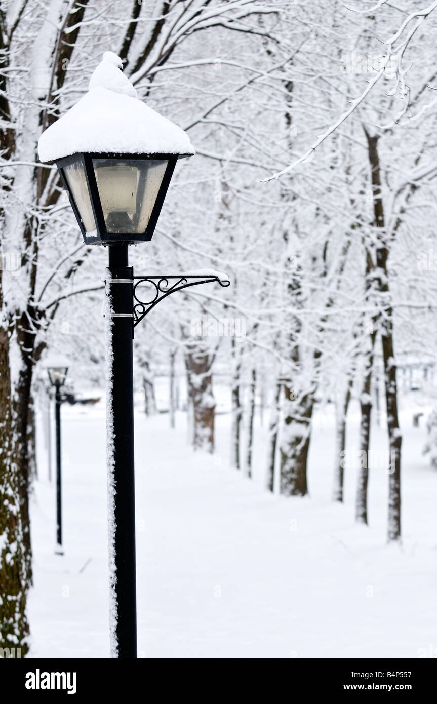 Winter Park mit frischen weißen Schnee bedeckt Stockfoto
