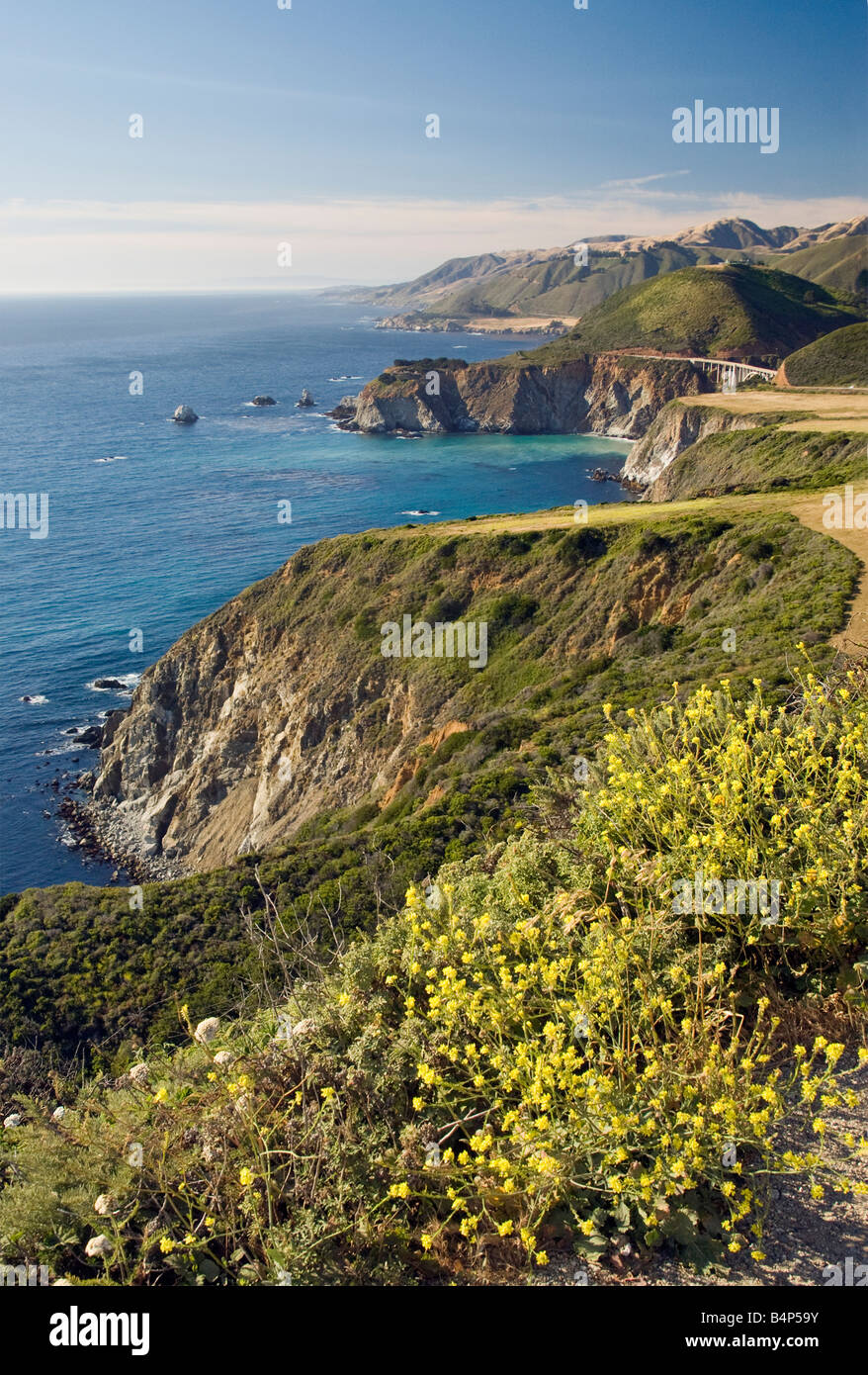 Blick vom Hurricane Point Bixby Creek Bridge am Highway 1 in Entfernung Ackersenf Blumen Big Sur, Kalifornien USA Stockfoto