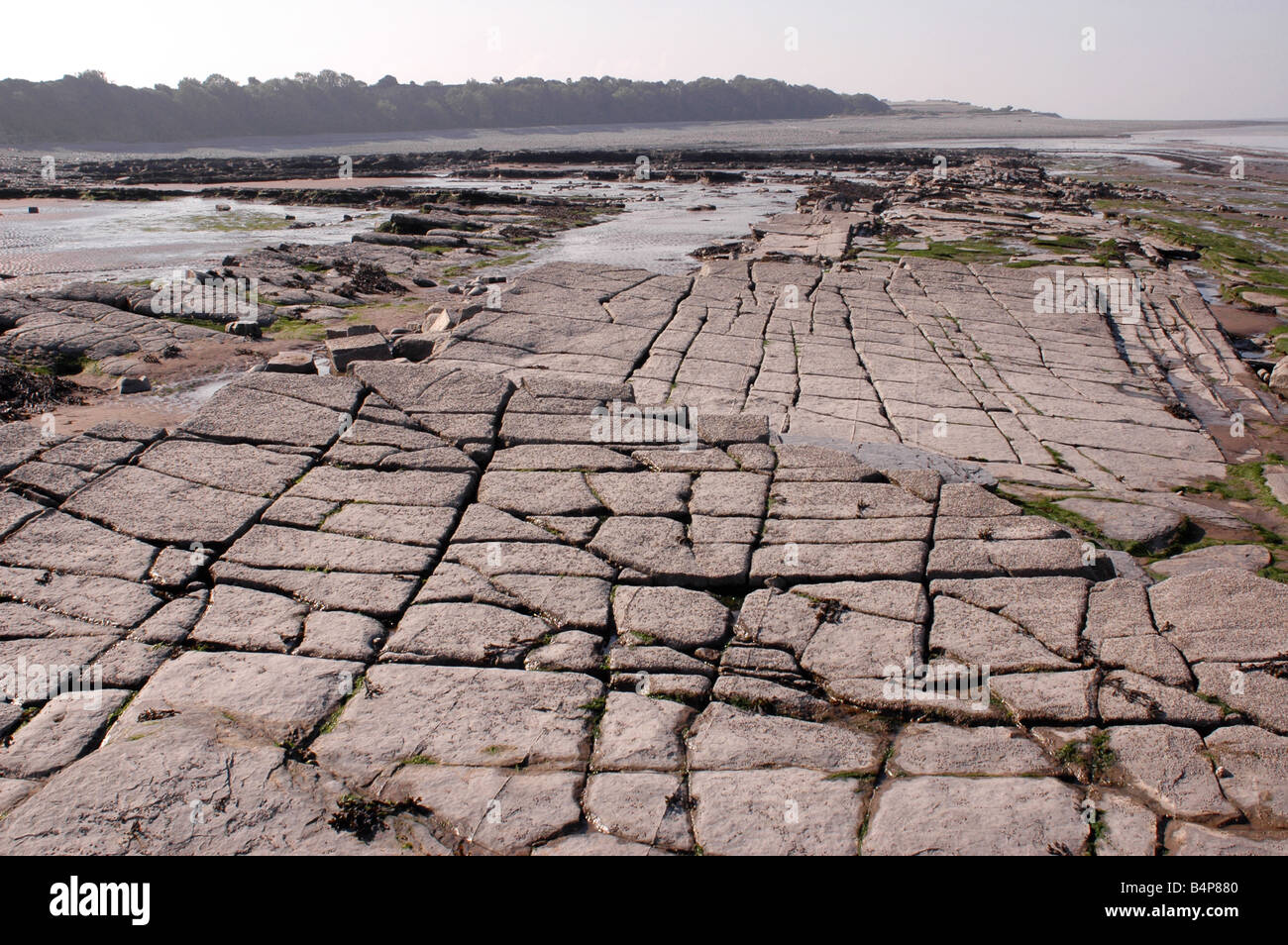 Eine Küste geologischen SSSI in der Nähe von Lilstock in North Somerset mit Vorland Belichtungen von Blue Lias Stockfoto