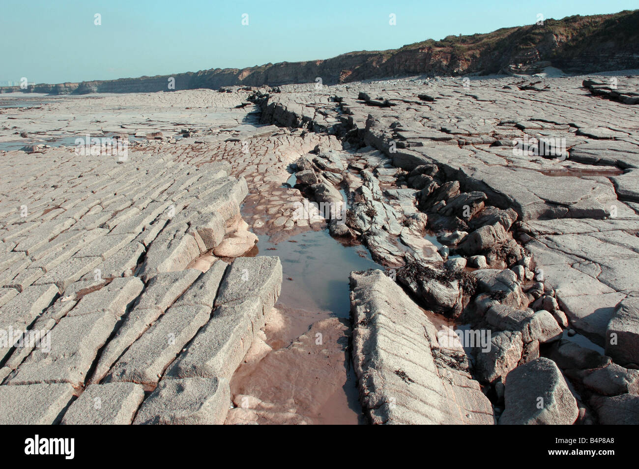 Eine geologische SSSI am Kilve Beach in North Somerset mit Kalkstein-Plattformen Stockfoto