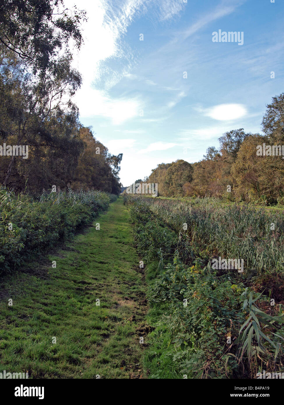 Holme Fen Entwässerung Deich. Stockfoto