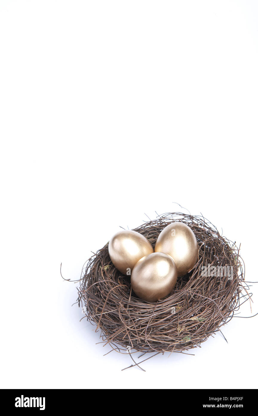 Goldenen Eiern im Nest vor weißem Hintergrund Stockfoto