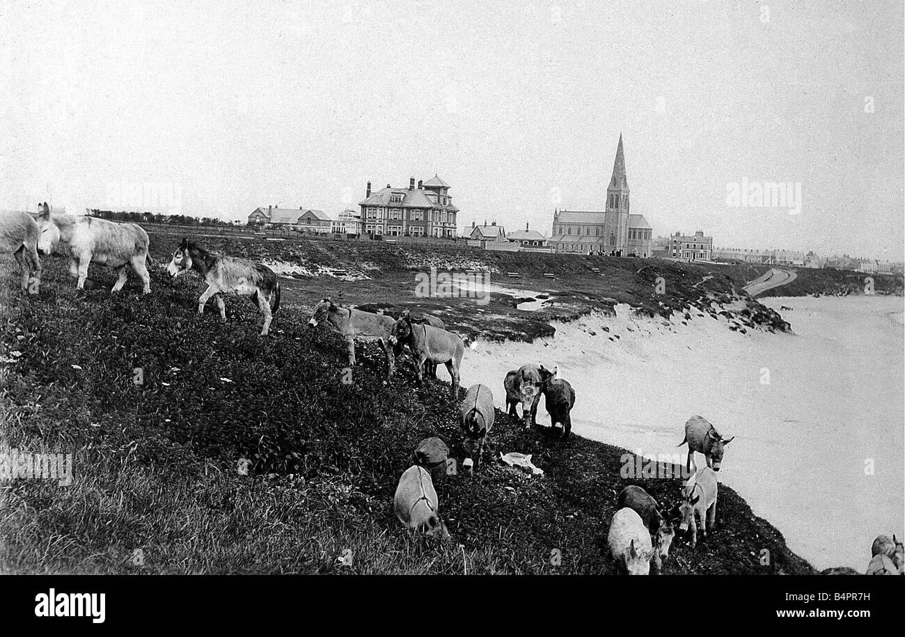 Der lange Sandstrand bei Tynemouth in den 1870er Jahren Stockfoto