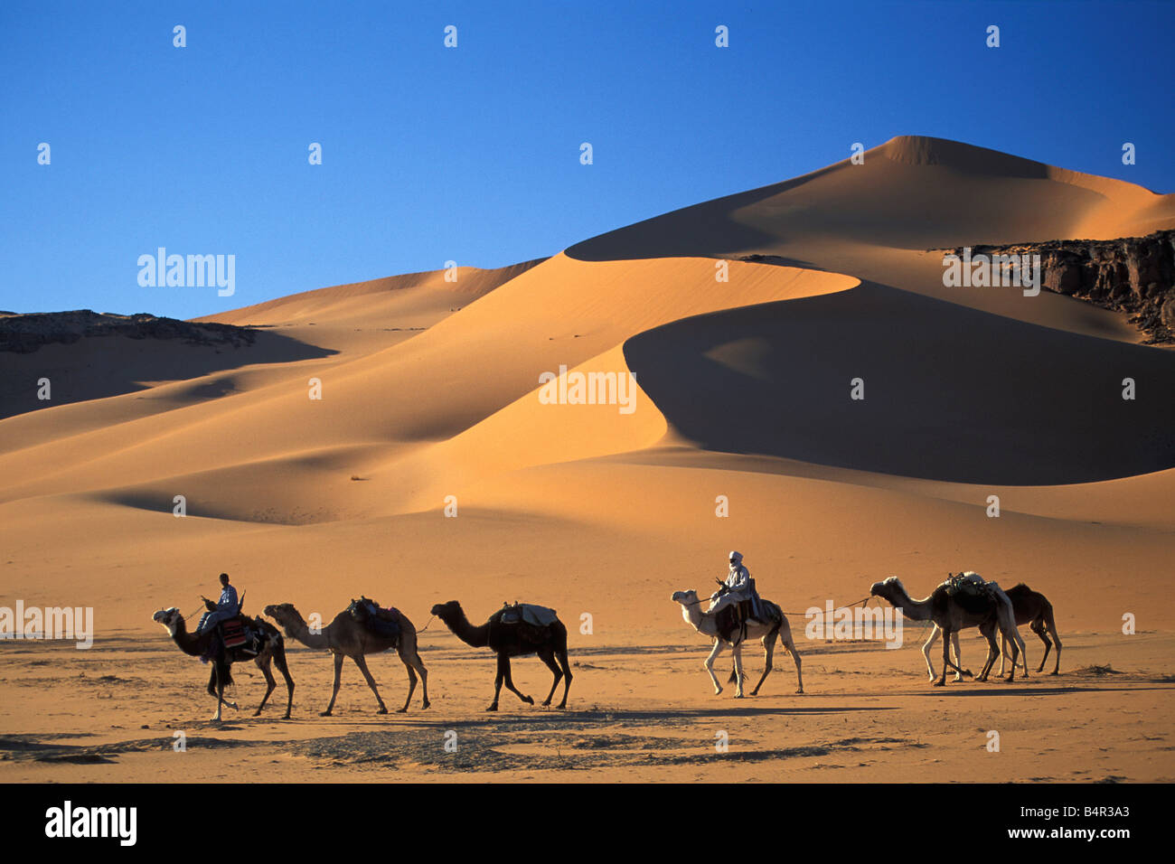 Algerien in der Nähe von Djanet Männer der Tuareg Stamm Kamel-Karawane Wüste Sahara Stockfoto