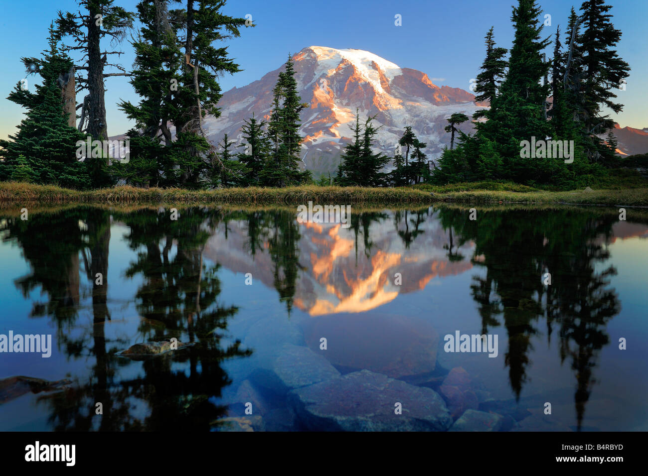 Berg-Tarn nachdenken Mount Rainier im Morgengrauen, Mount Rainier Nationalpark, Washington, USA Stockfoto