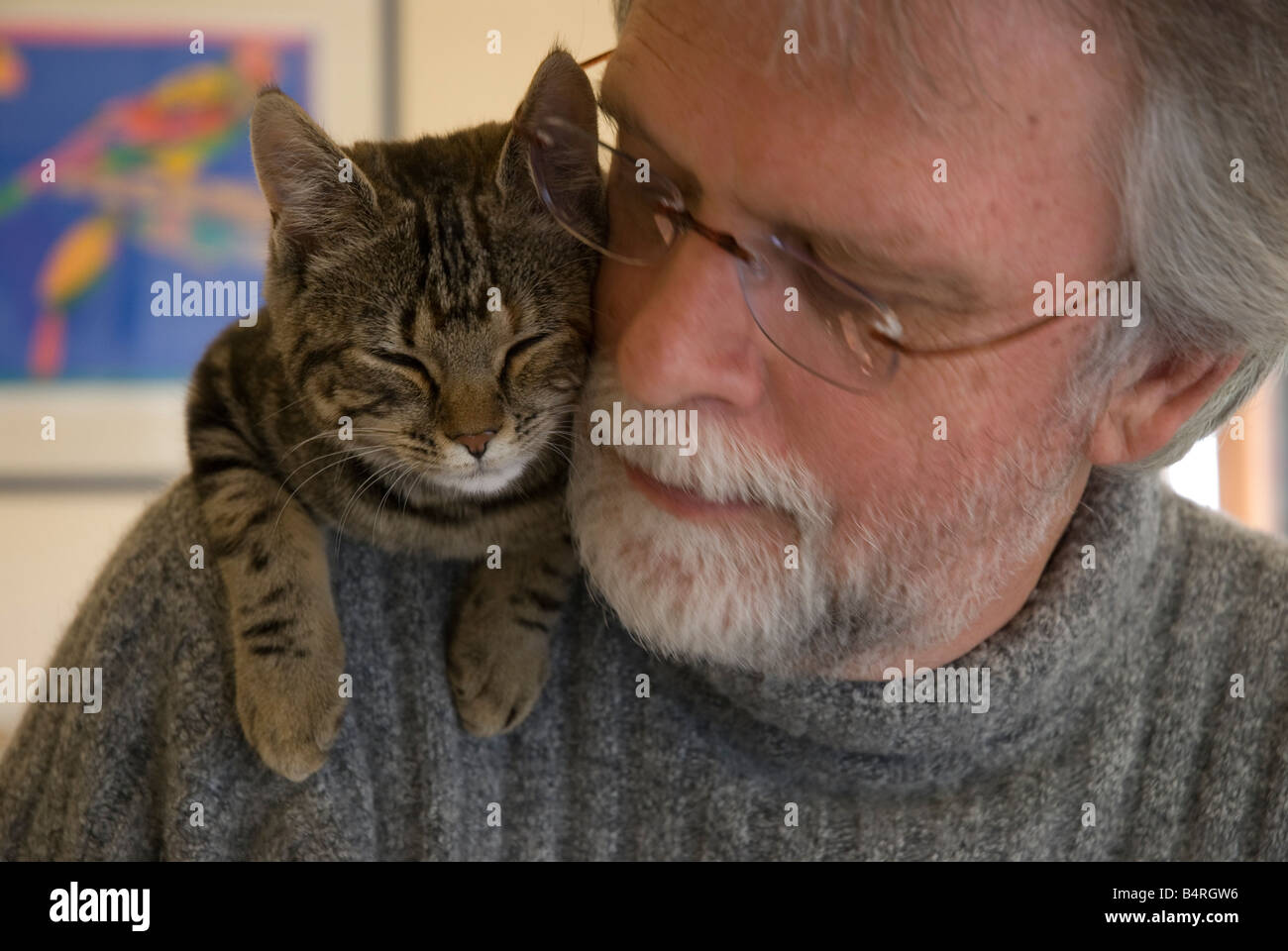 Bärtiger Mann mittleren Alters mit Brille mit Katze auf der Schulter Stockfoto