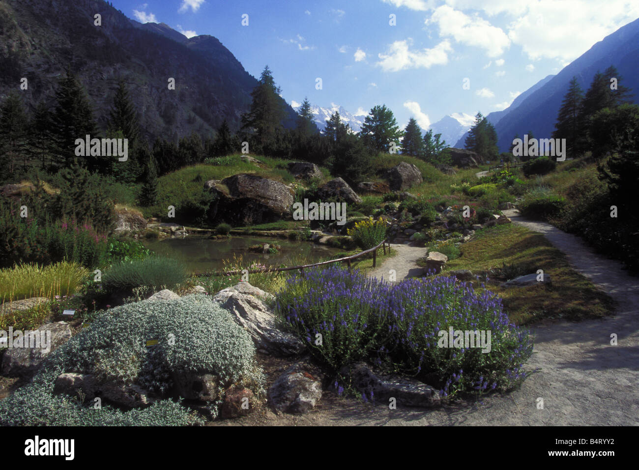 Landschaft Giardino Paradisia Gran Paradiso Nationalpark Valle d ' Aosta Italien Stockfoto