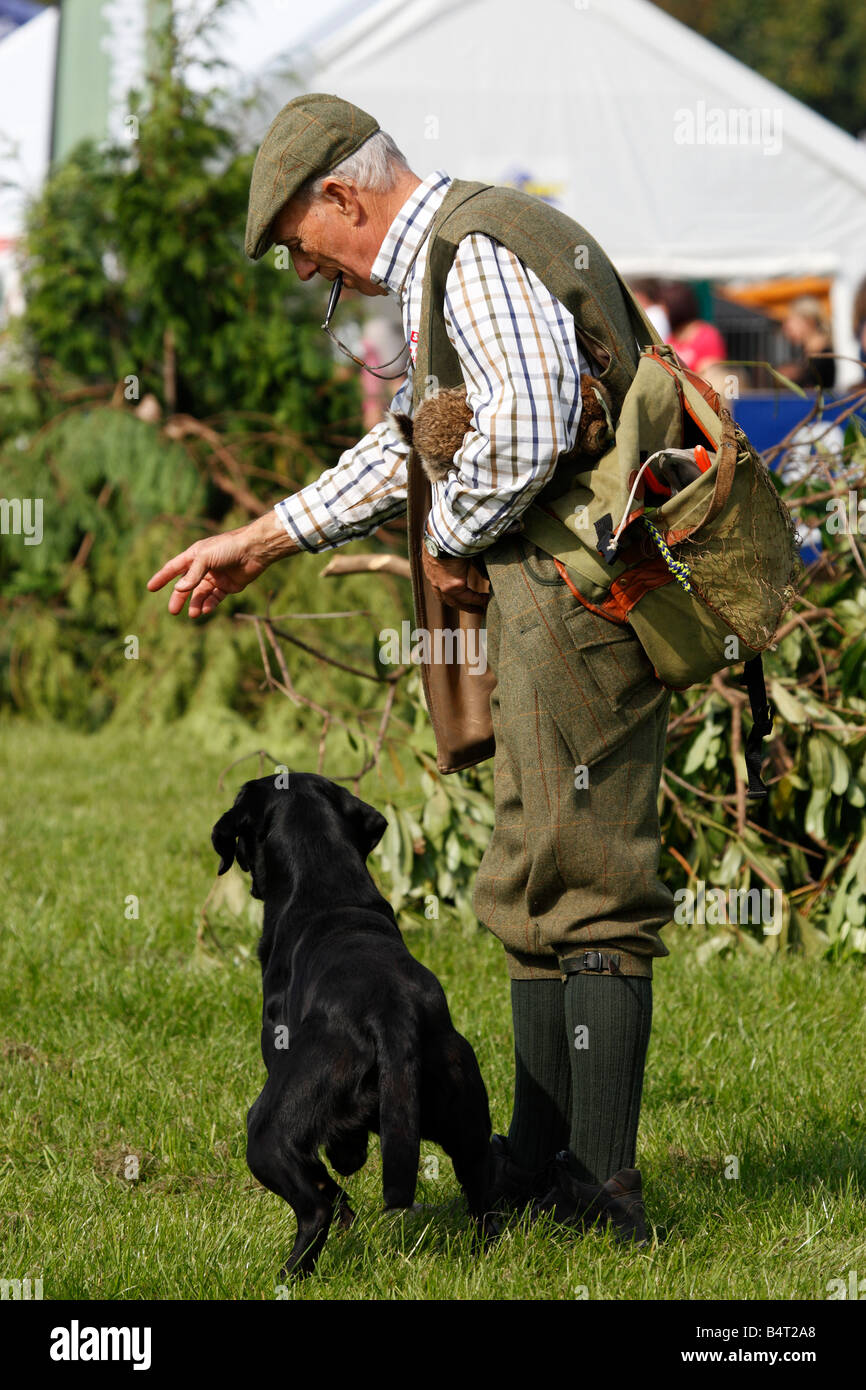 Jagdhund-Training-Display an der Midlands Spiel fair Weston Park Shropshire England uk Stockfoto