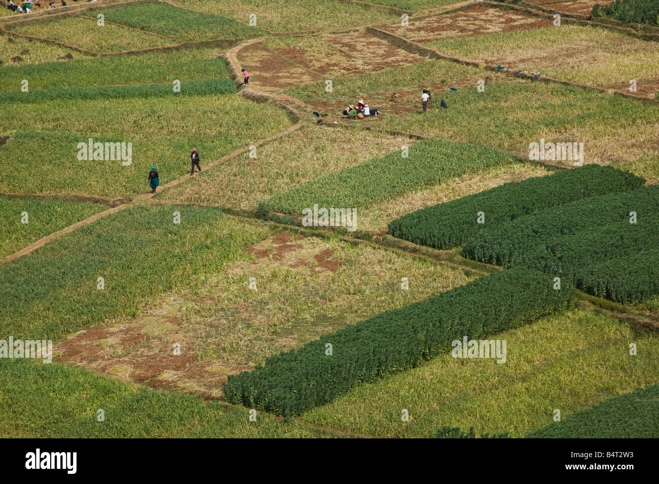 China, Provinz Yunnan, Erhai Hu Seengebiet, Felder und Erhai Hu See Stockfoto