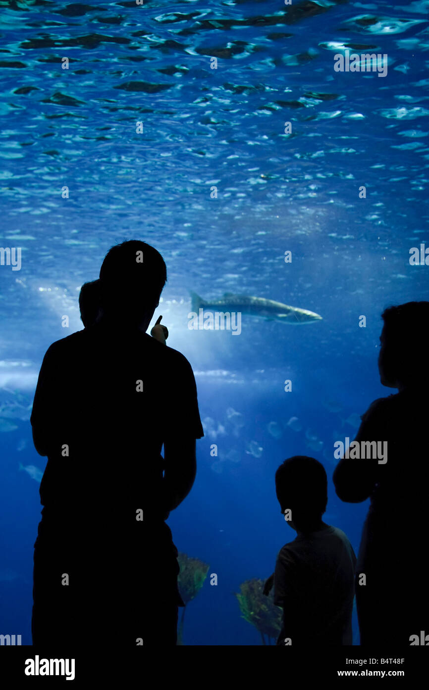 Oceanario (Aquarium), Parque Das Nacoes, Lissabon, Portugal Stockfoto