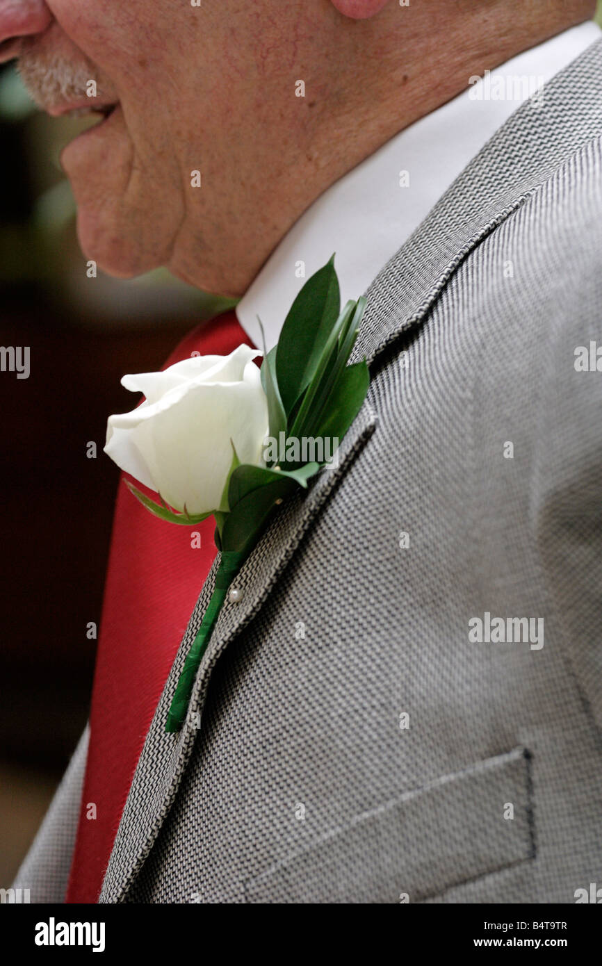 Blüten Blütenpracht Hochzeit Feier feiern Jubiläum Anlass Ereignis Gesellschaft weiße corsage Stockfoto