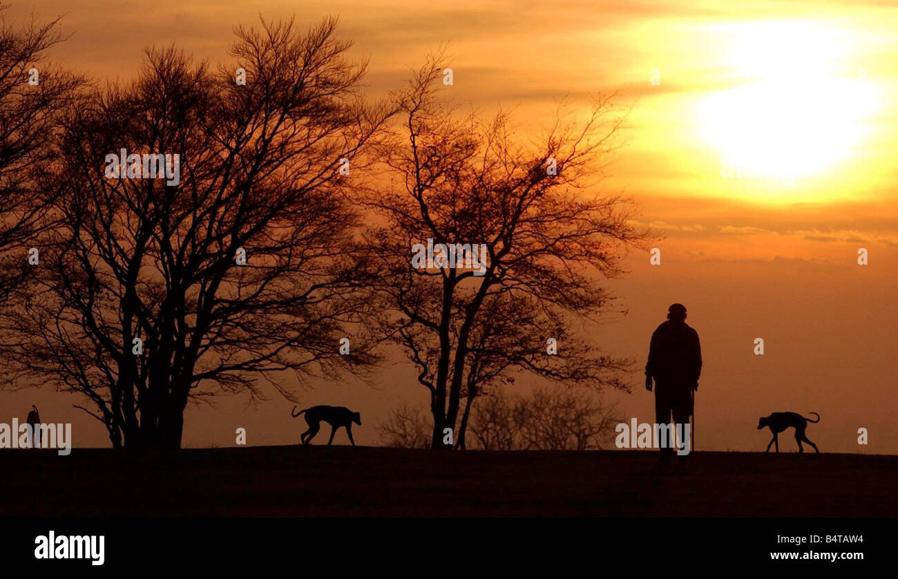 Ein Mann geht seinen Hunden entlang des oberen Randes der Lickey Hügeln nr, die rednal eine tiefstehende Sonne am Horizont untergeht das Wetter in den nächsten Tagen lokale Beschriftung Relaxedimages mild bleiben soll Stockfoto