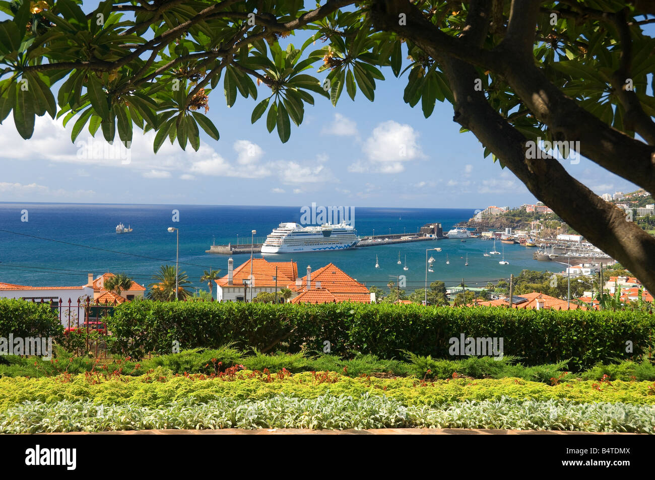 Blick auf das Kreuzfahrtschiff im Hafen im Sommer Funchal Madeira Portugal EU Europa Stockfoto